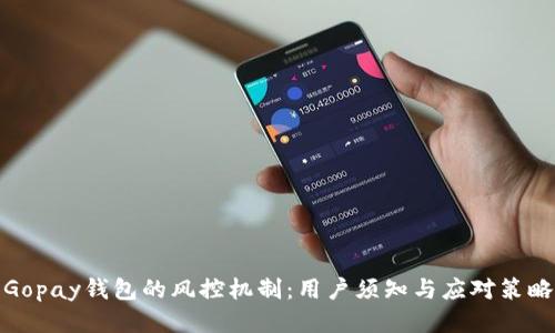 Gopay钱包的风控机制：用户须知与应对策略