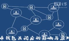 虚拟币钱包关闭后的影响与应对策略