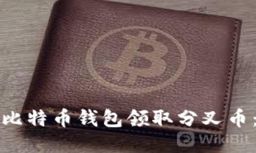 如何通过比特币钱包领取分叉币：详细指南