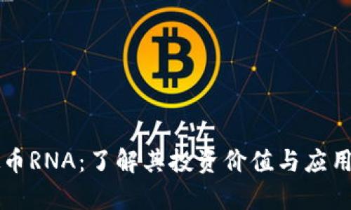 虚拟币RNA：了解其投资价值与应用前景