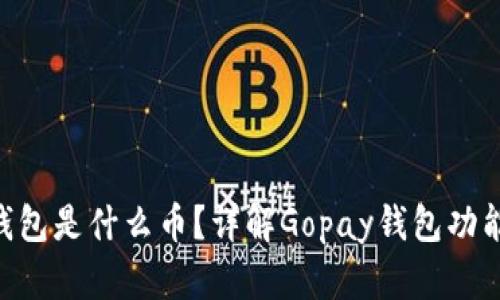Gopay钱包是什么币？详解Gopay钱包功能与优势