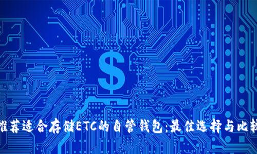 推荐适合存储ETC的自管钱包：最佳选择与比较