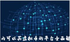 国内可以买虚拟币的平台全面解析