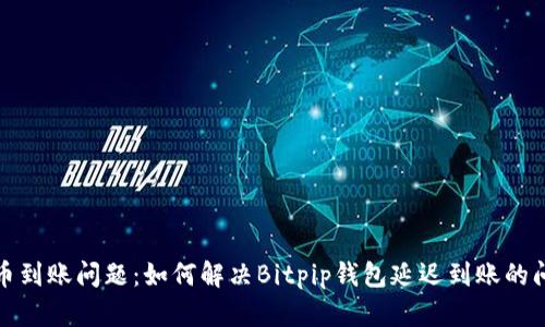 提币到账问题：如何解决Bitpip钱包延迟到账的问题