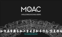 如何在苹果手机上查看虚拟币信息：完美指南