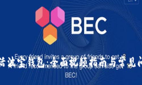 如何激活波宝钱包：全面视频指南与常见问题解答