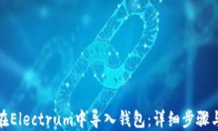 如何在Electrum中导入钱包：详细步骤与技巧
