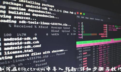 
如何在Electrum中导入钱包：详细步骤与技巧