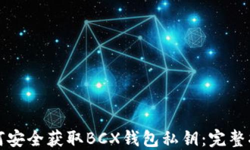 
如何安全获取BCX钱包私钥：完整指南
