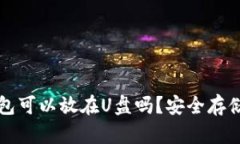 比特币钱包可以放在U盘吗？安全存储方式详解