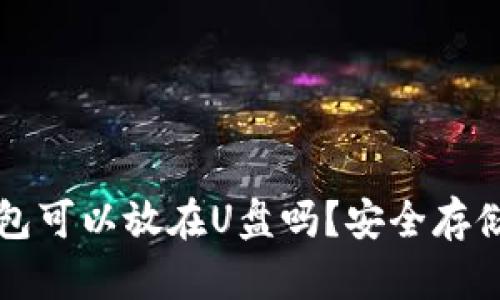 比特币钱包可以放在U盘吗？安全存储方式详解