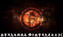 数字钱包选择指南：哪个数字钱包更适合你？