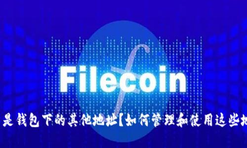 什么是钱包下的其他地址？如何管理和使用这些地址？